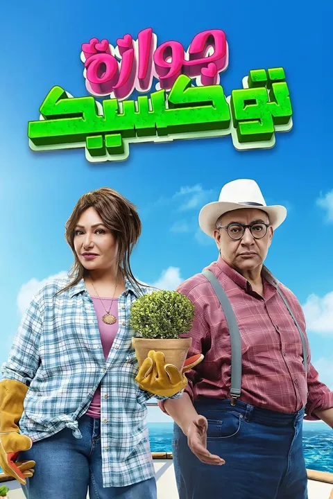 ملصق الفيلم