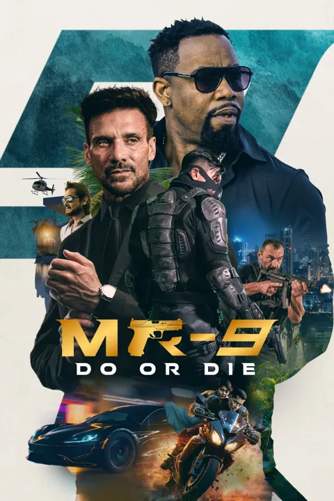 ملصق الفيلم
