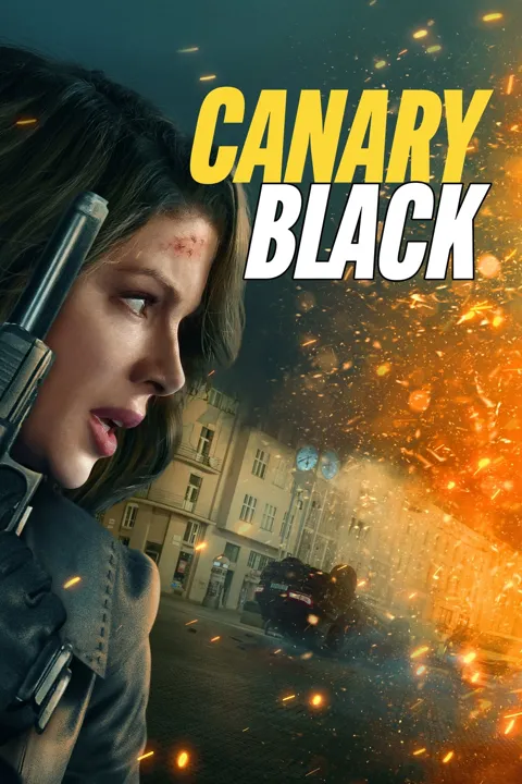 ملصق الفيلم