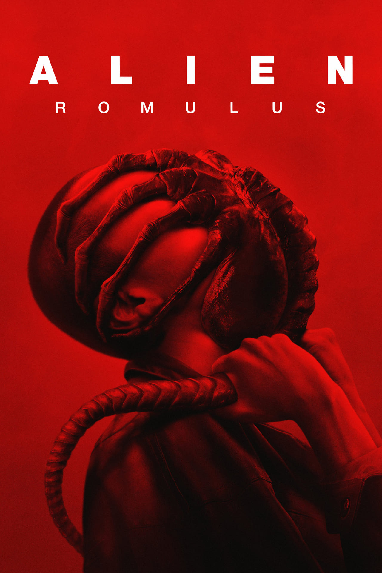 ملصق الفيلم